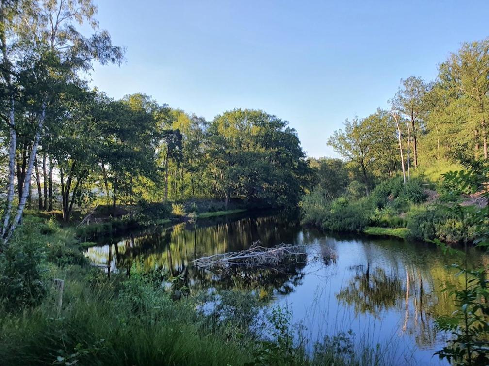 de Merel Vught Bagian luar foto