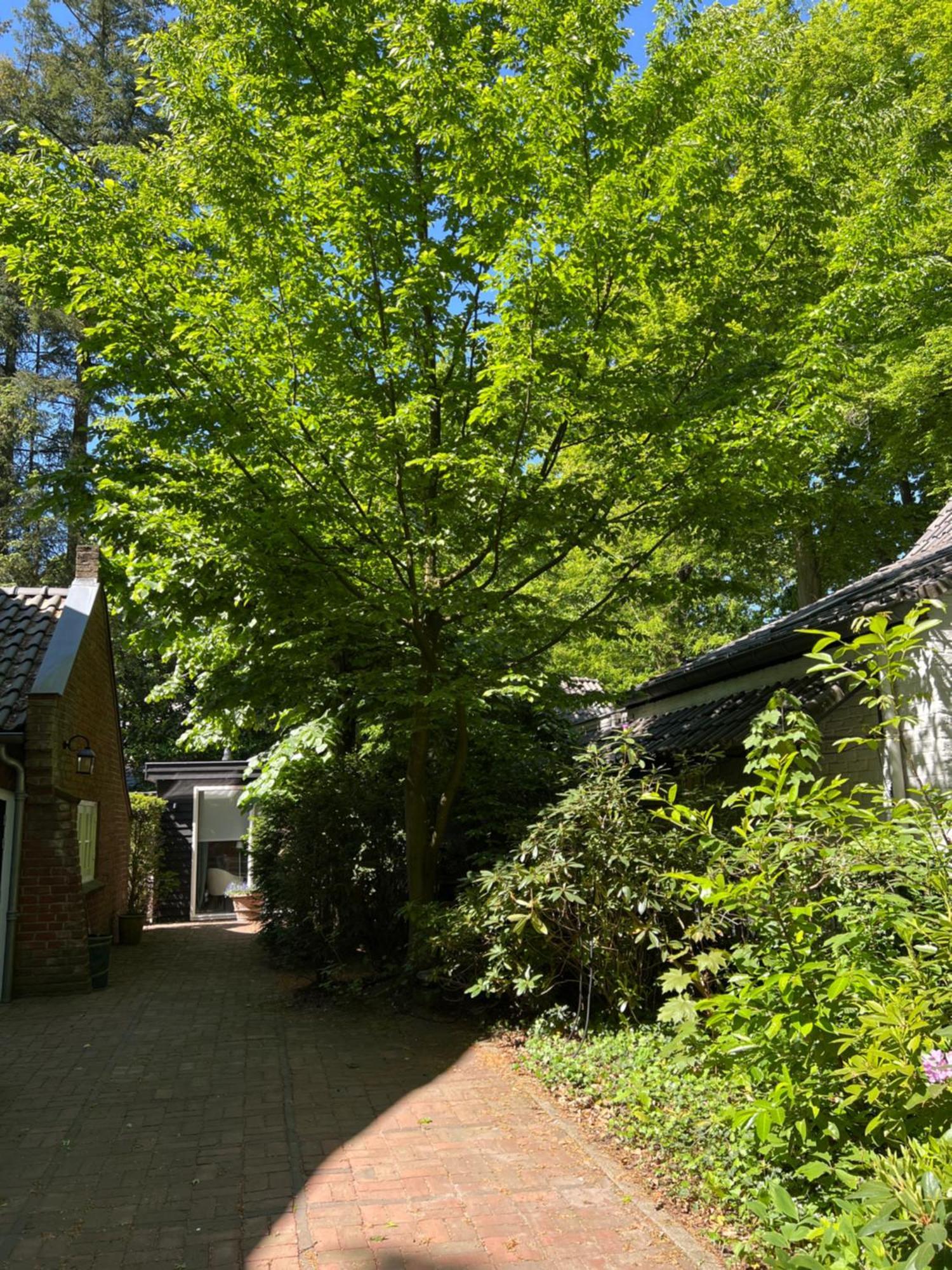 de Merel Vught Bagian luar foto