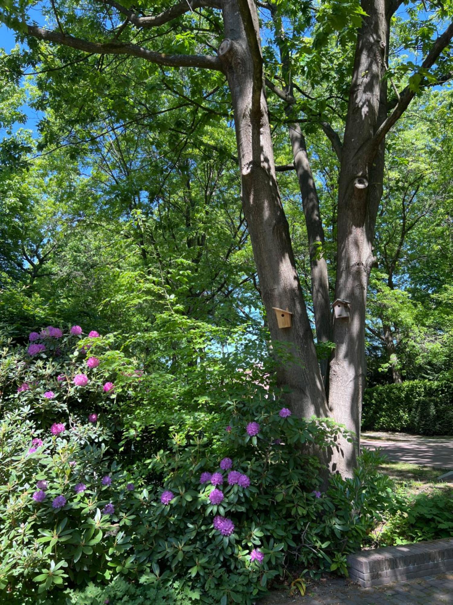 de Merel Vught Bagian luar foto