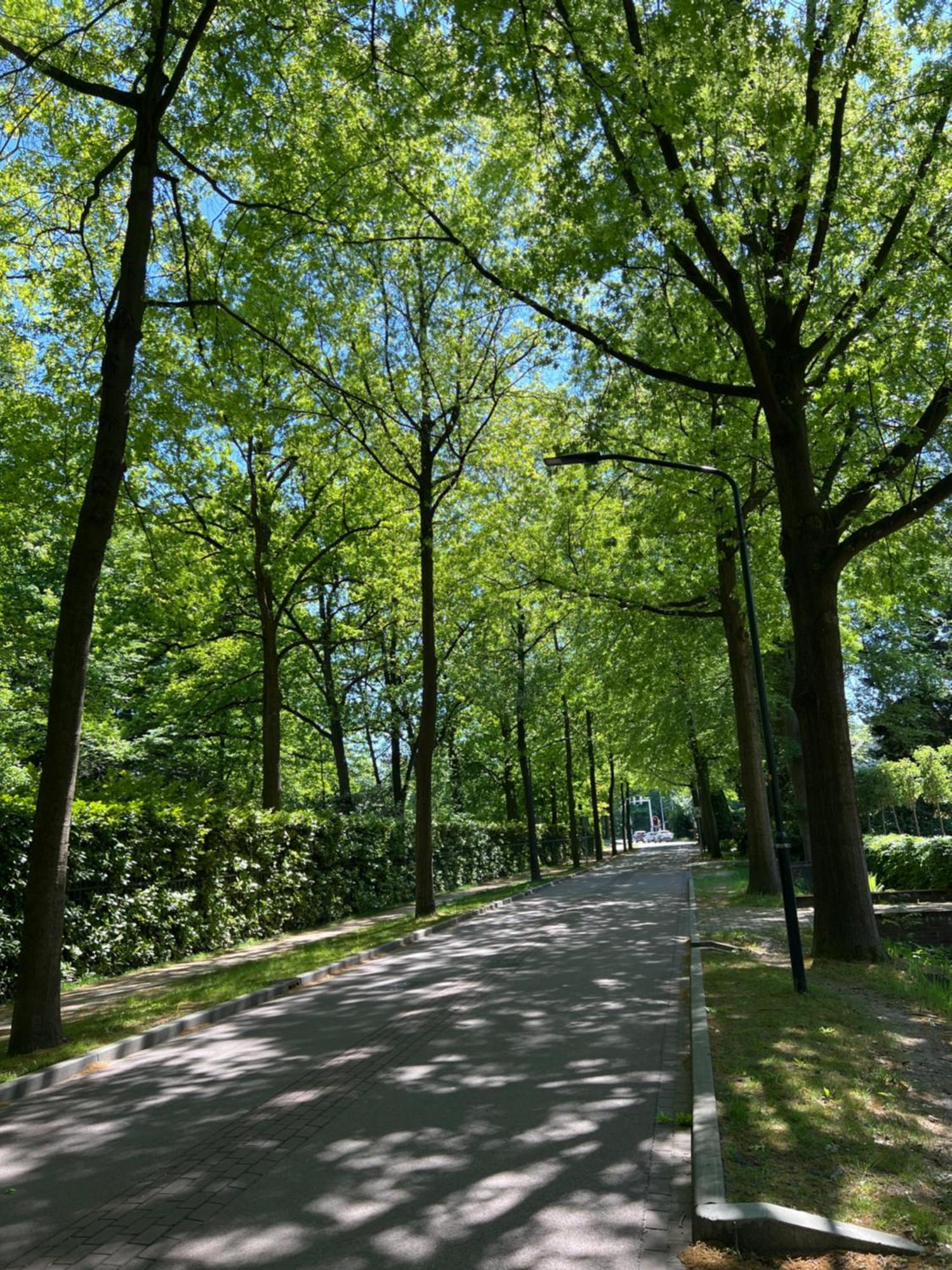 de Merel Vught Bagian luar foto